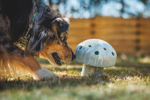 Ruffwear Porchini Toy Gray Sky Ruffwear Porchini Toy Gray Sky